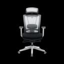 Ergonomic Chairs